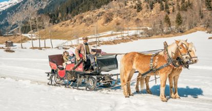 Giro in carrozza